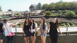 Getty Museum